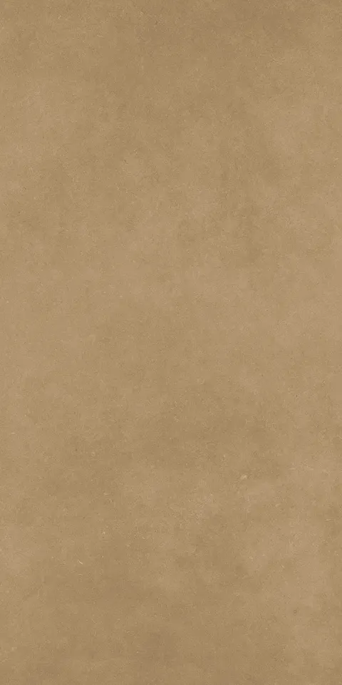 AVA HARVEST view 4